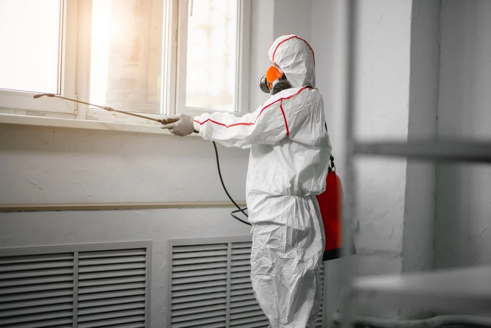 Professional mold remediation services in Manhasset, NY
